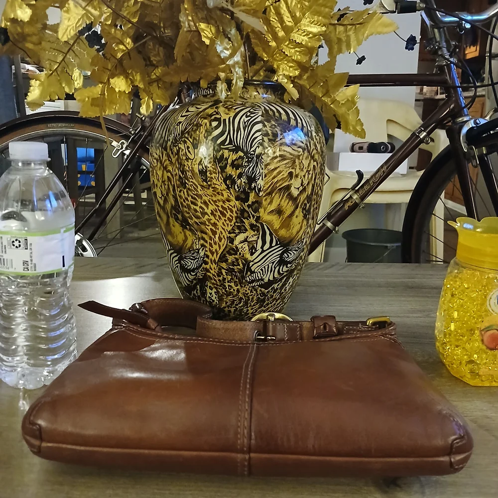Coach stylish brown